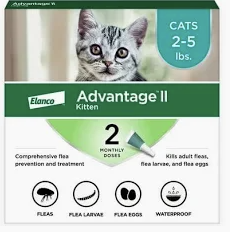 flea treatment newborn kittens